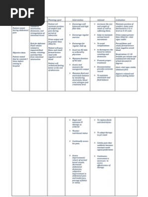 Nursing Care Plan 1 Rtt Gastroenterology