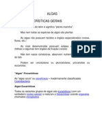 As principais características e grupos de algas