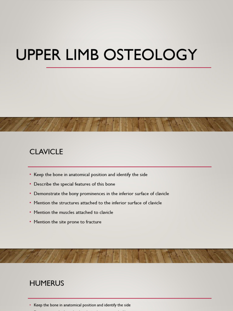 Clavicle and Upper Limb Osteology Guide | PDF