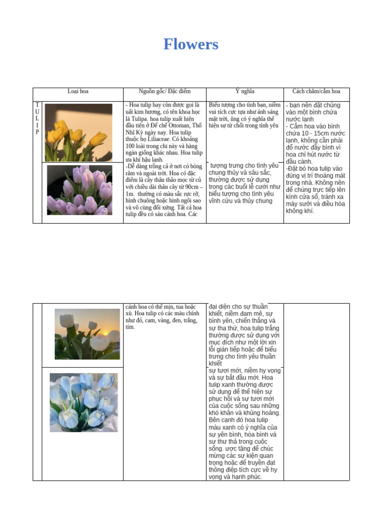 Flowers | PDF