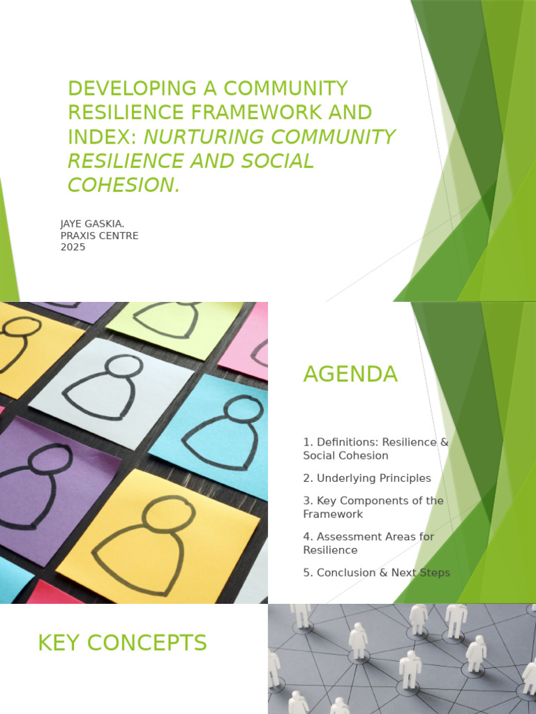 Community Resilience Framework Guide | PDF | Governance | Community