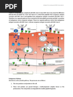 Download Antigen Processing Process and MHC Association by Mahathir Mohmed SN8800351 doc pdf