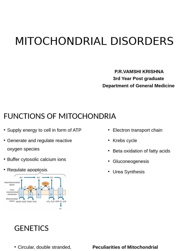 Understanding Mitochondrial Disorders | PDF | Mitochondrial Dna ...