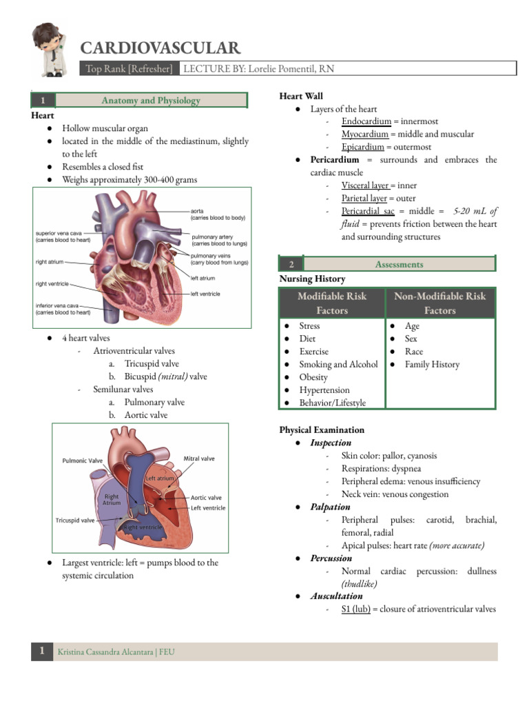 [Refresher] Cardiovascular | PDF | Heart | Heart Valve