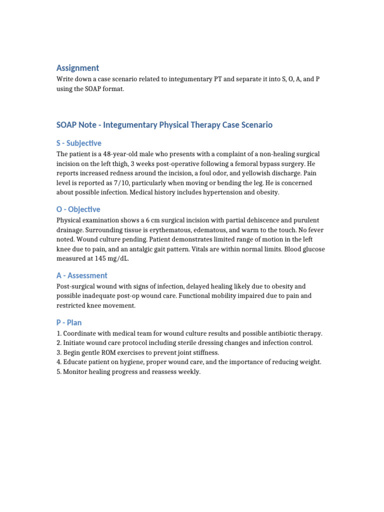 Integumentary PT SOAP Note Example | PDF