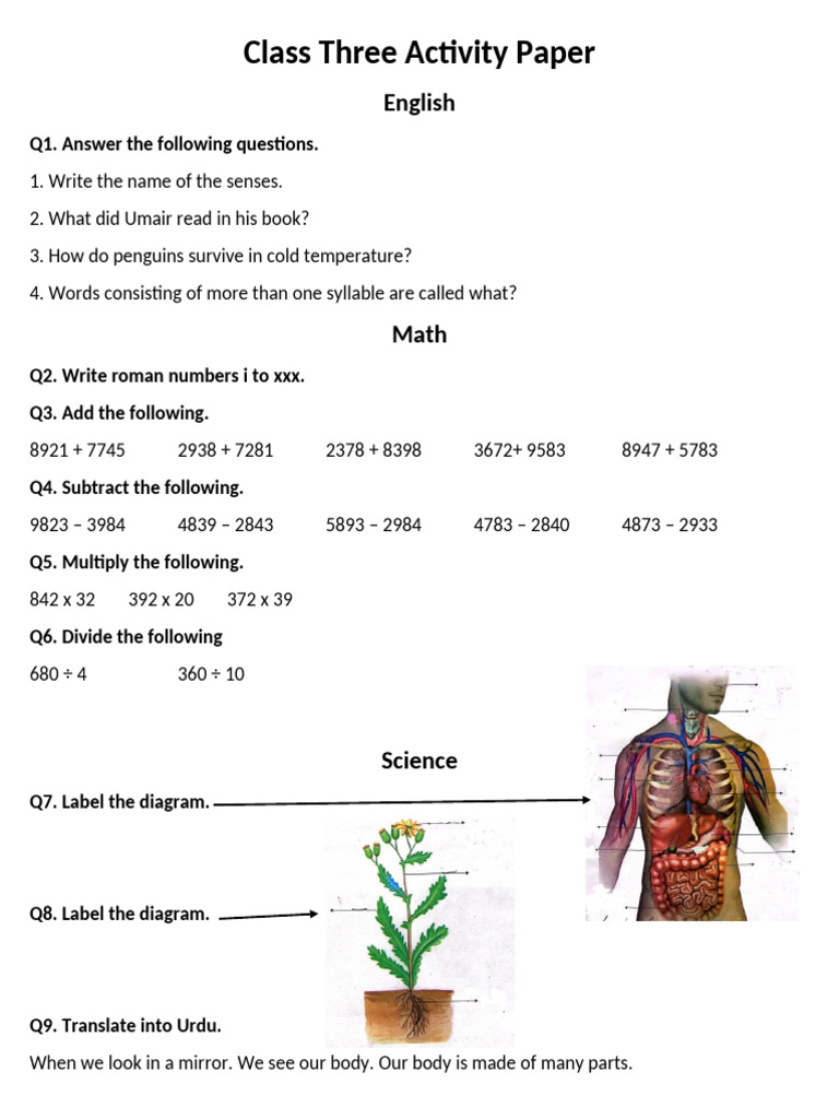 Class Three Activity Questions and Answers | PDF