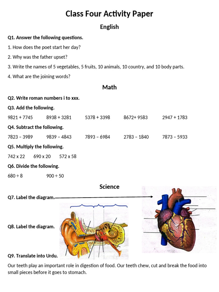 Class Four Activity Questions and Exercises | PDF
