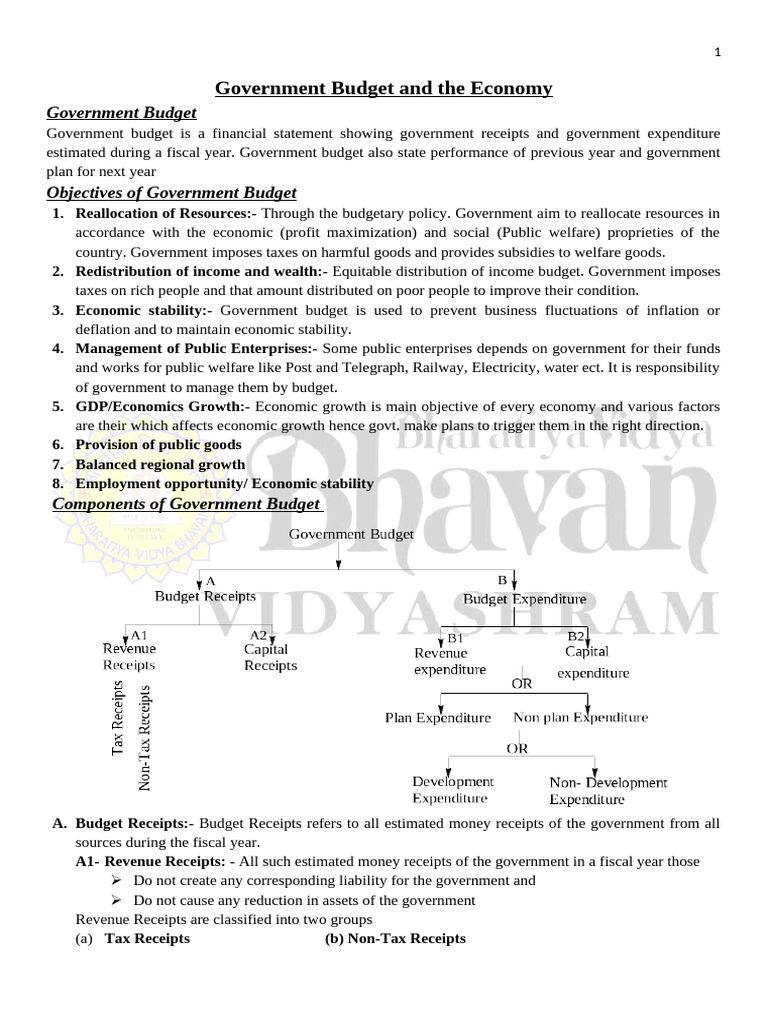 Government Budge and The Economy | PDF | Taxes | Government Budget Balance