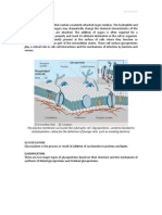 Biochemistry of Glycoprotein