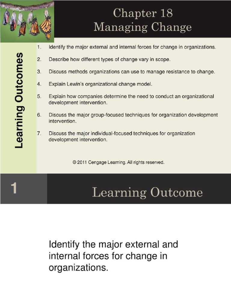 Change Management | PDF