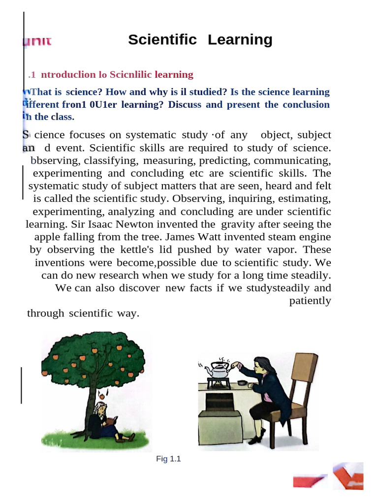 Understanding Scientific Learning Process | PDF | Foods | Science