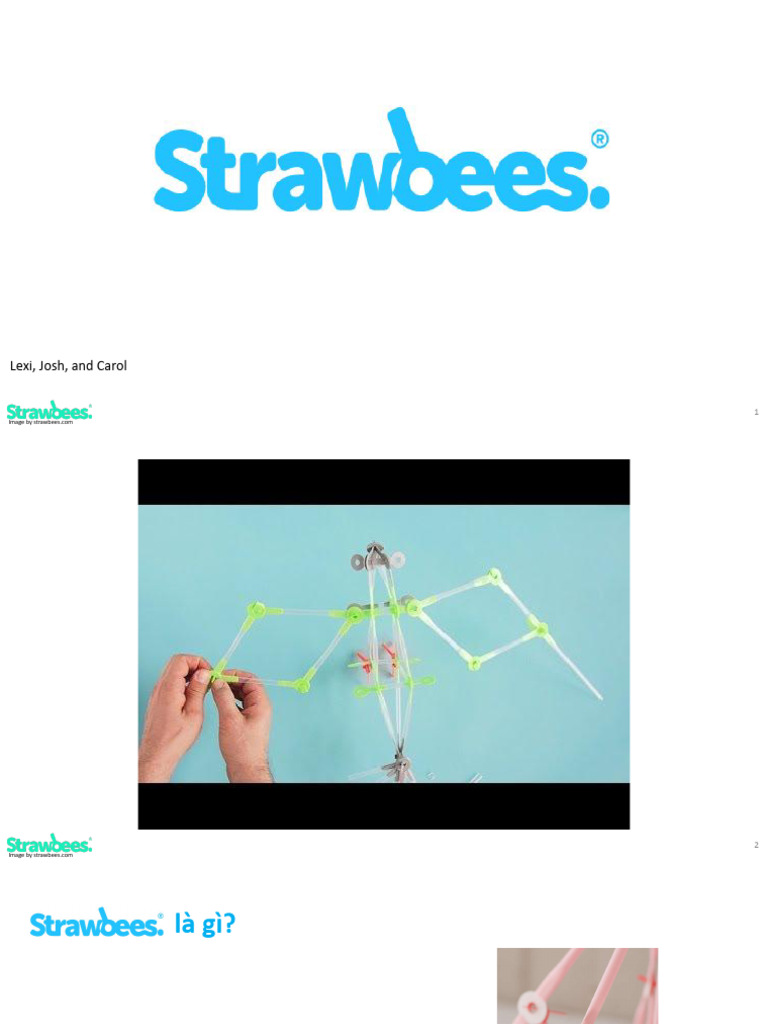 Strawbees Presentation | PDF