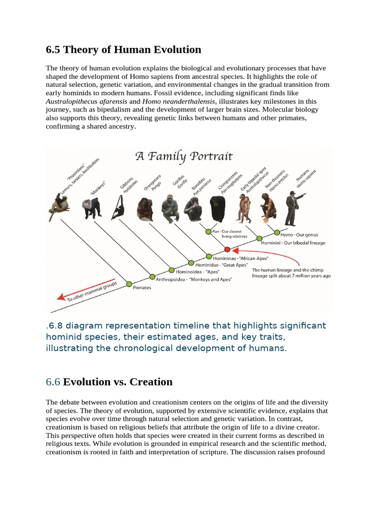 biology investigatory project new | PDF | Homo | Human Evolution