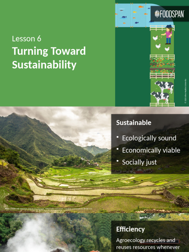 Lesson6 Sustainability Slides Pdf Agriculture Agroecology