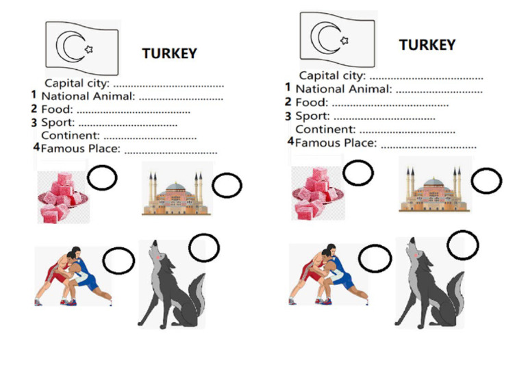 Turkey Unit 4 | PDF
