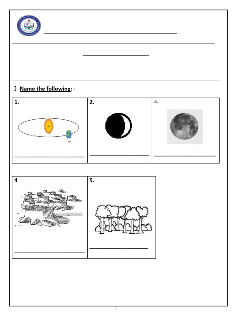 Science Revision Sheet for Grade 2 | PDF | Earth | Water
