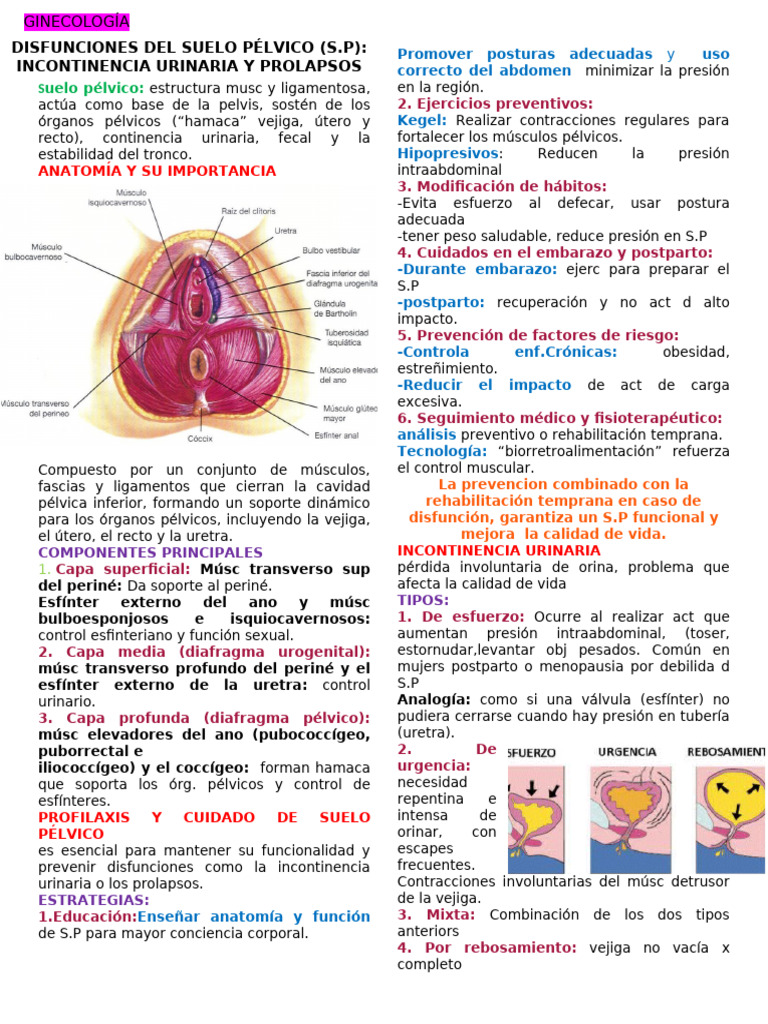 Cistocele: Prolapso y Prevención | PDF | Escoliosis | Especialidades ...