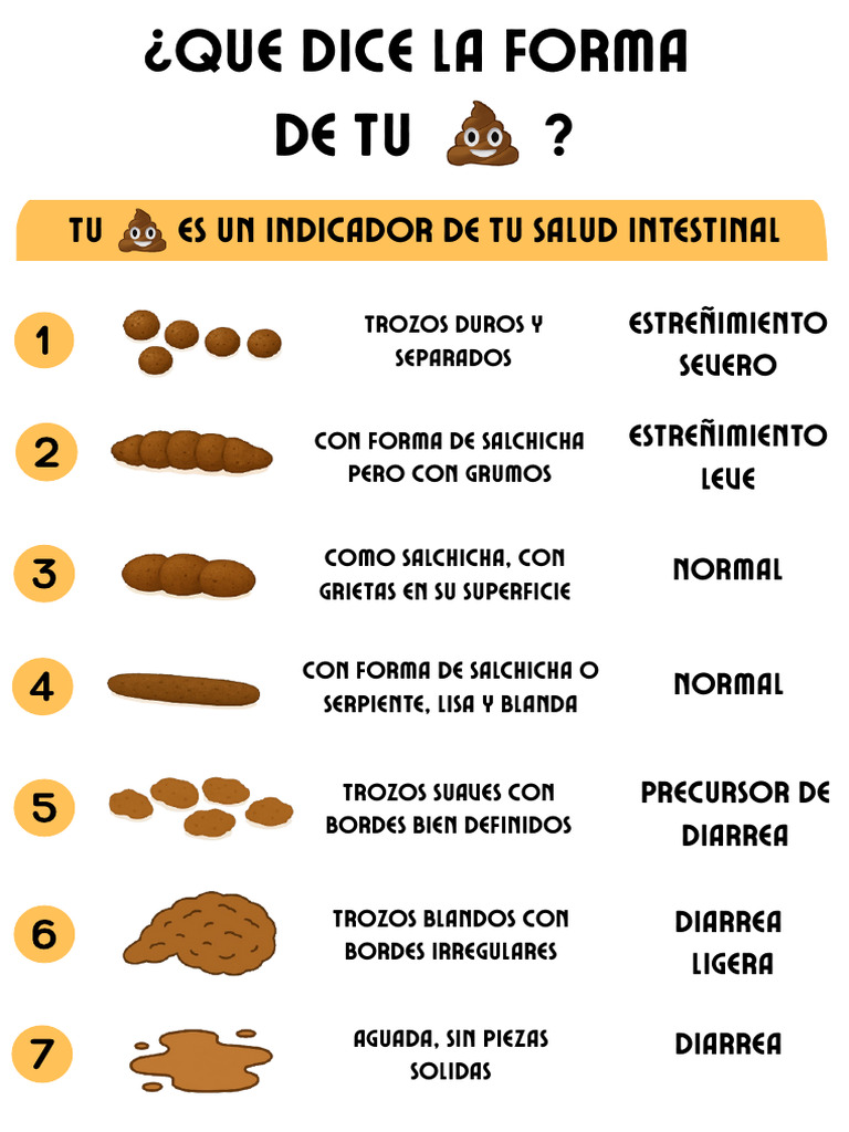 ¿Que Dice La Forma de Tu Caca? | PDF