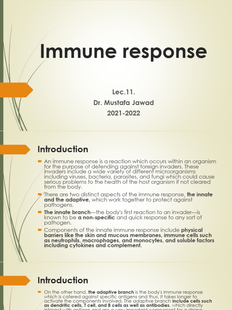 Immune Response: Innate and Adaptive Systems | PDF | Immune System ...