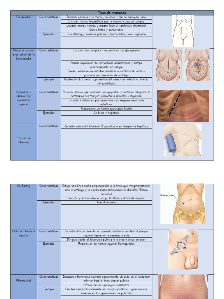 Tipos de Incisiones Quirúrgicas Abdominales y Torácicas | PDF | Abdomen ...