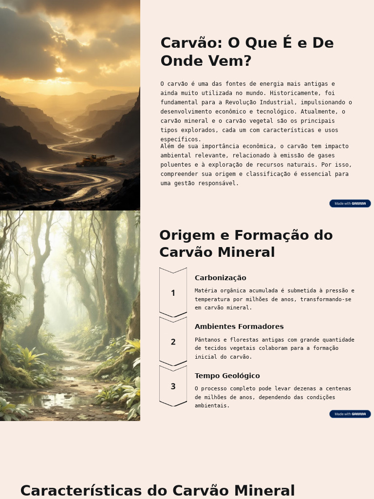 Carvao O Que E e de Onde Vem | PDF | Carvão | Energia renovável