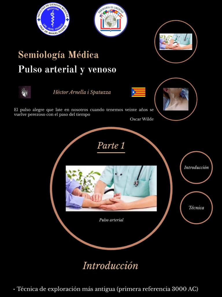 Pulso | PDF