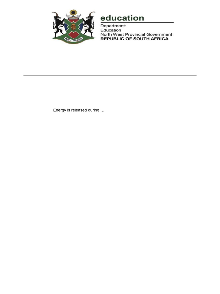 Cellular Respiration Test for Grade 11 | PDF | Cellular Respiration ...