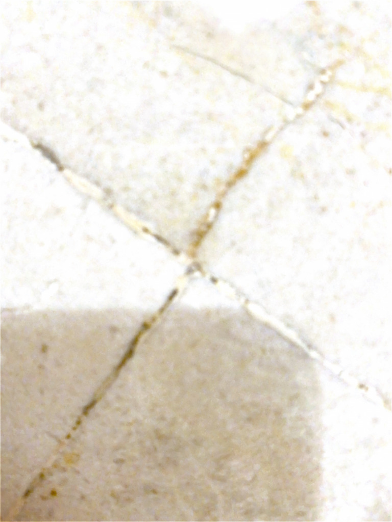 Textured Paper | PDF