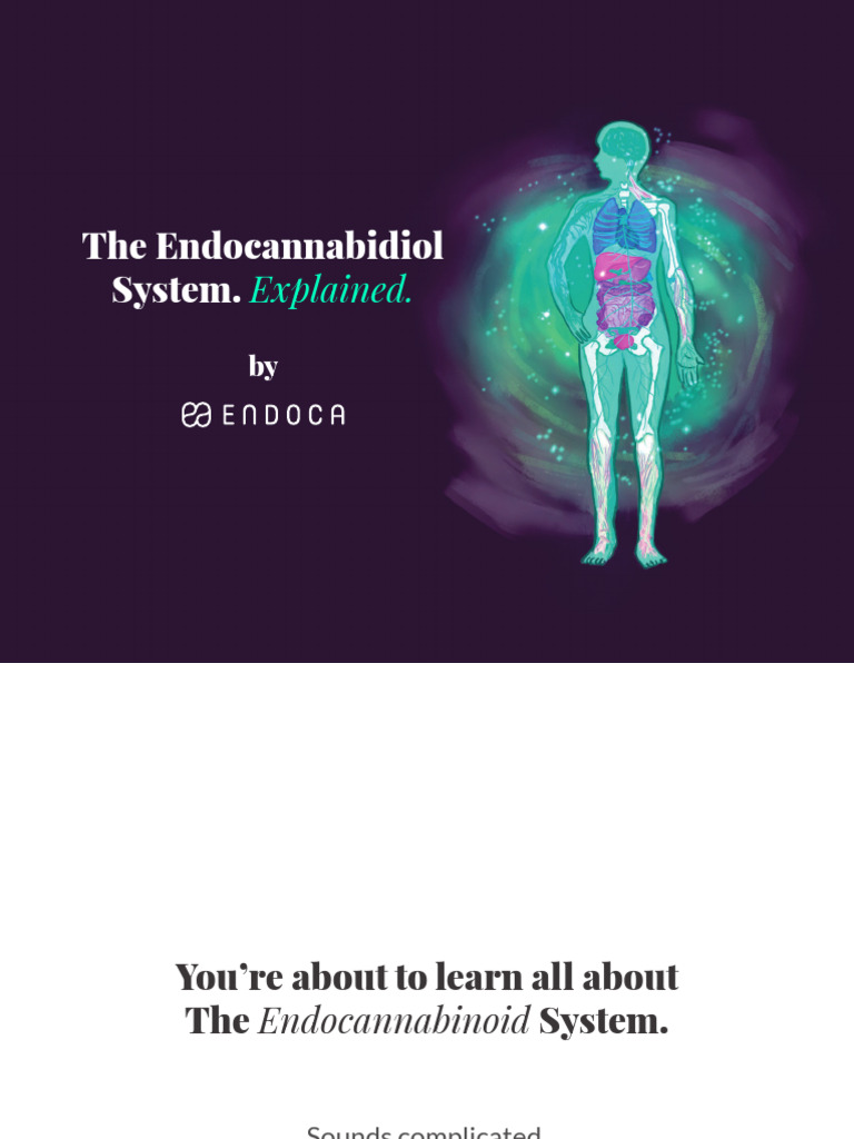 The Endocannabinoid System | PDF | Tetrahydrocannabinol | Neurochemistry