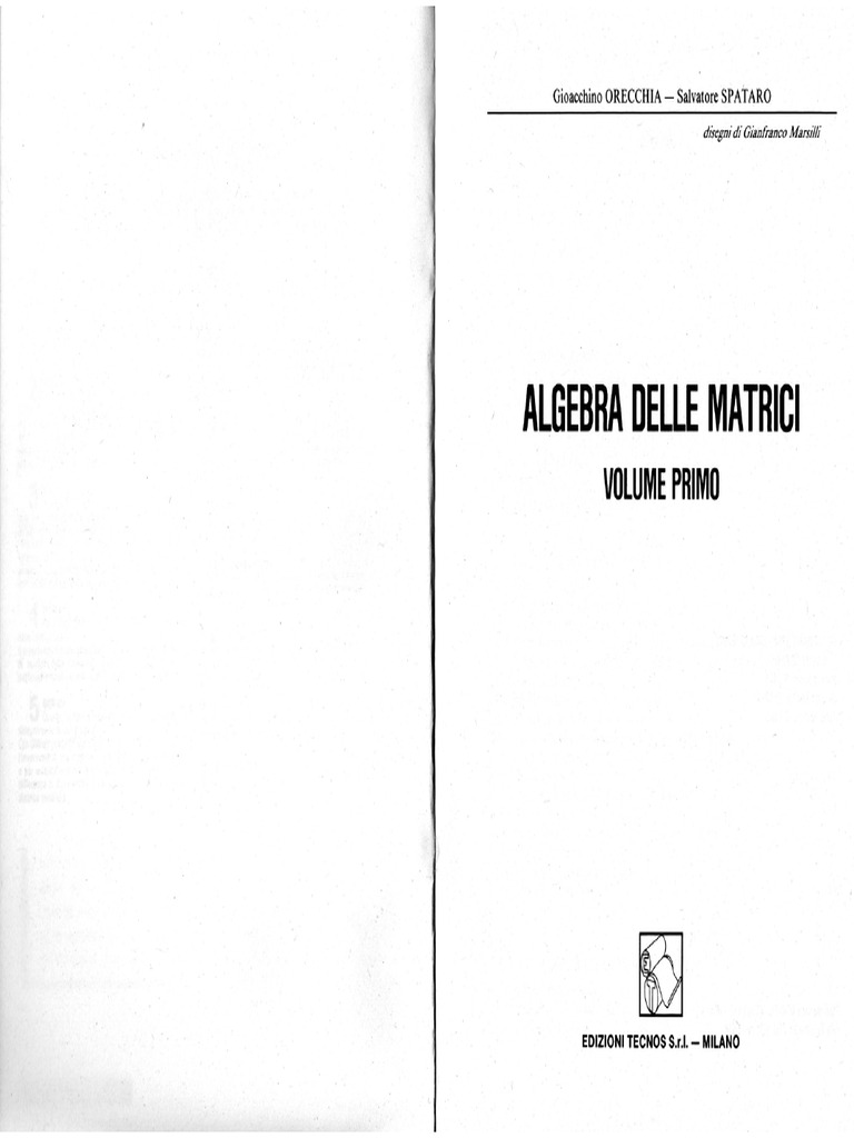 Algebra Delle Matrici - Volume 1 | PDF