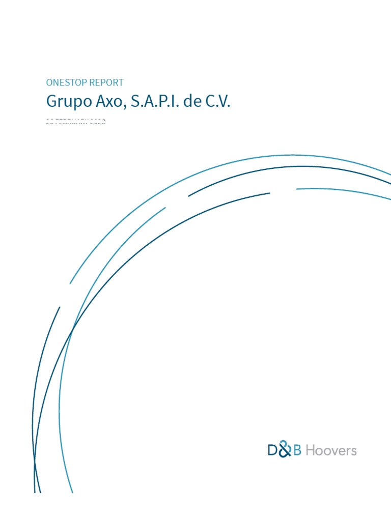 Grupo Axo Company Overview Report | PDF