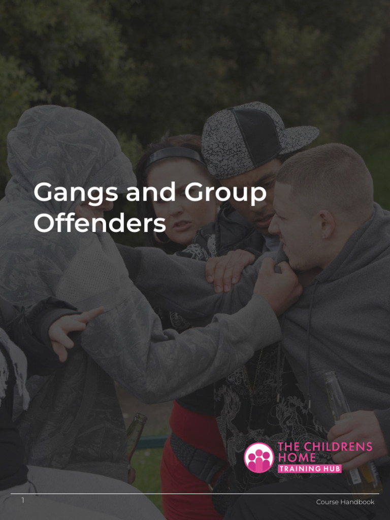 Gangs and Group Offenders Specialist - Childrens Home - Level 2 ...