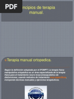 Download Terapia Manual by Nacho Castro Izquierdo SN88030389 doc pdf