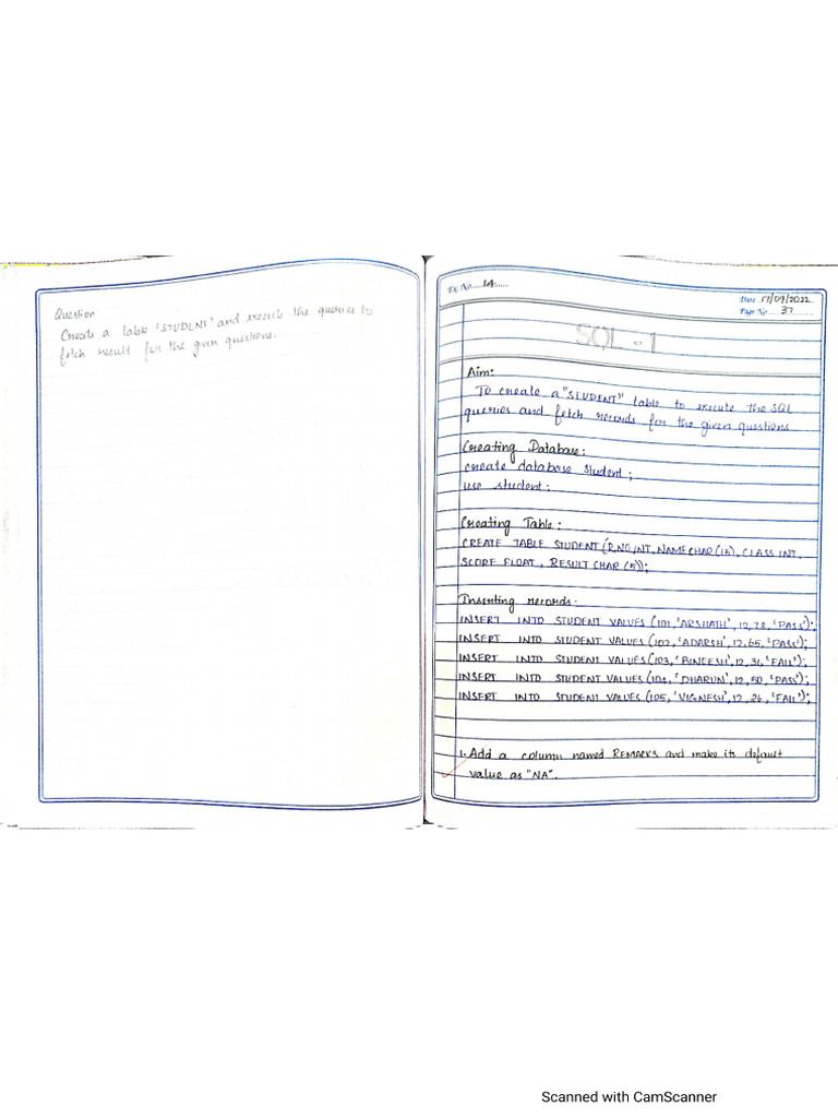 A Sample SQL PGM Record Format | PDF