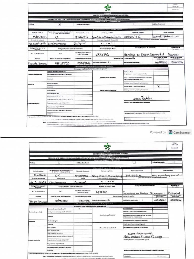 Formato 165 Ficha 2872343 Actualizado 2025 | PDF