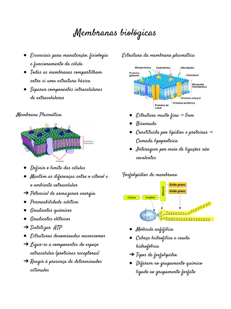 Estrutura e Função da Membrana Plasmática | PDF | Membrana celular ...