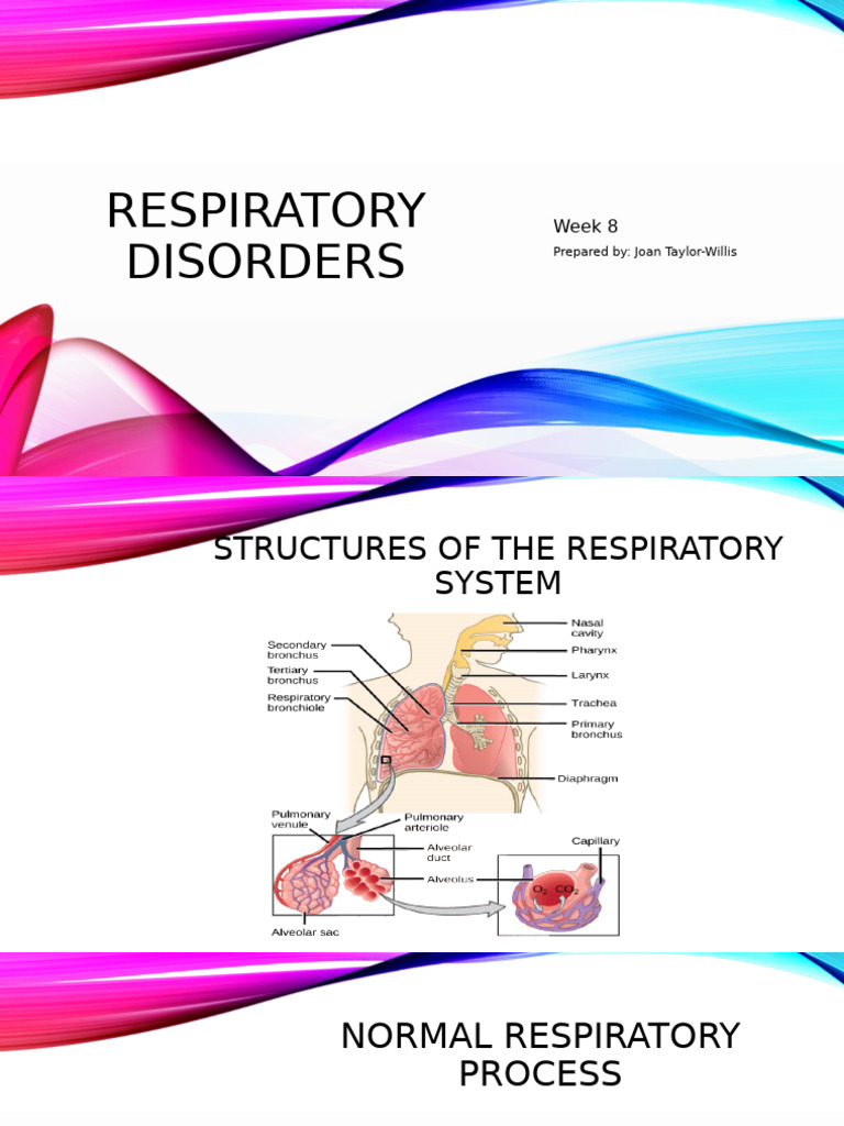 Understanding Respiratory Disorders | PDF | Respiratory System | Pneumonia