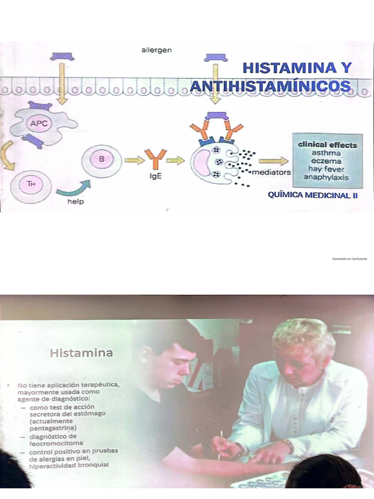 Histamina | PDF