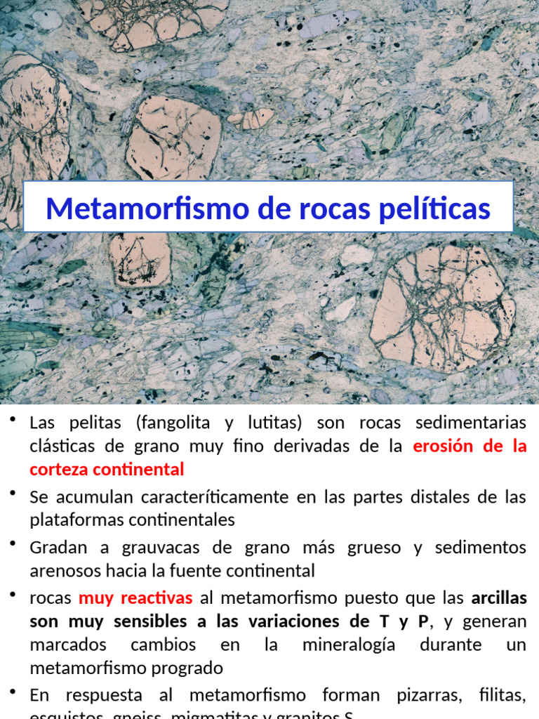 PGI 4 Met en Pelitas | PDF | Roca clástica | Petrología