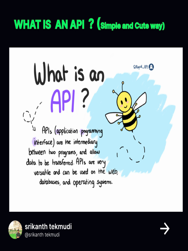What is API | PDF