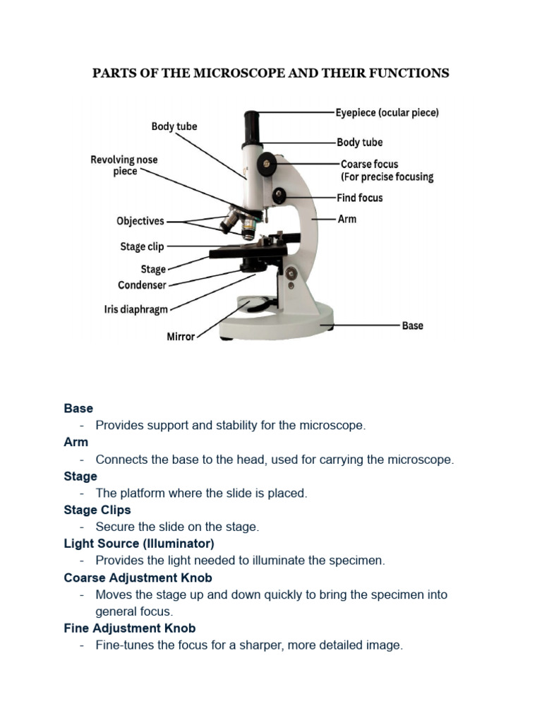Microscope Parts and Functions Explained | PDF