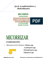 MICORRIZA