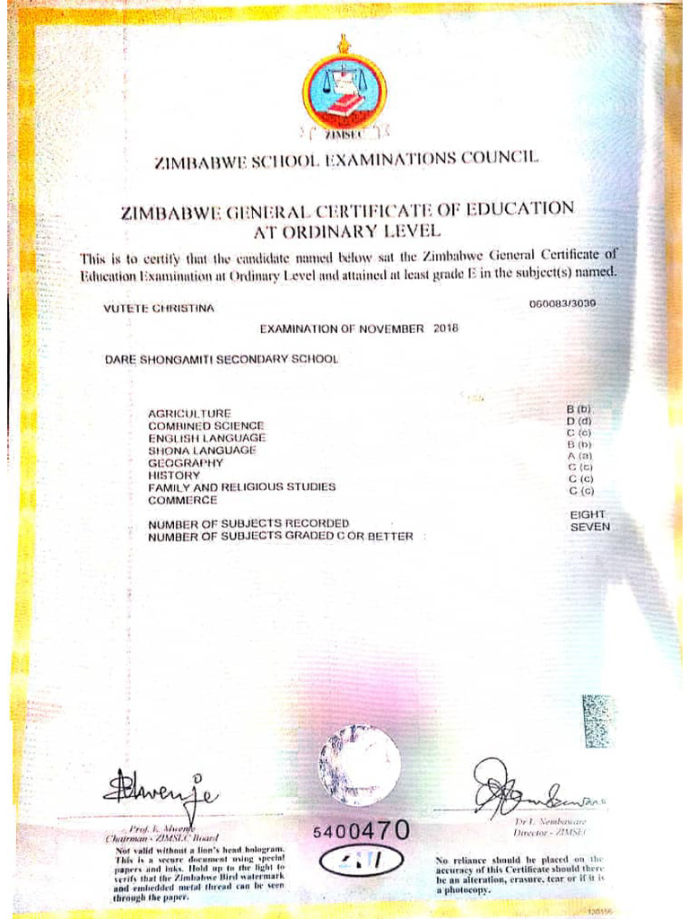 Ordinary Level Certificate | PDF