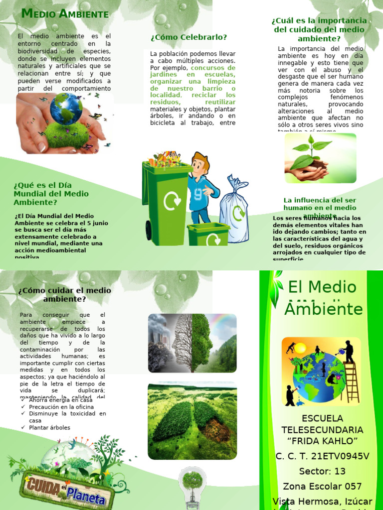 Cuidado del Medio Ambiente y Acciones | PDF | Entorno natural | Residuos