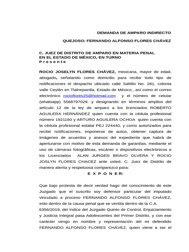 Demanda de Amparo Indirecto en Penal | PDF | Derechos humanos | México