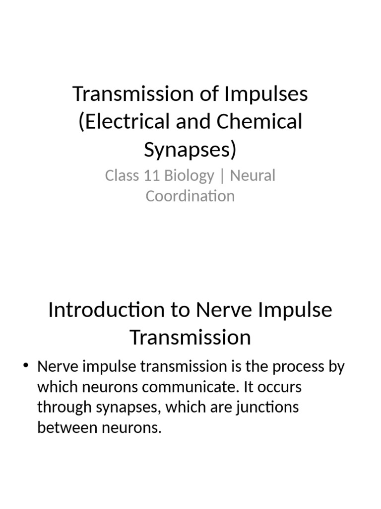 Impulse Transmission Across Synapses | PDF