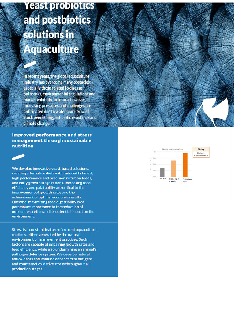 Probiotic Yeast For Aquaculture | PDF