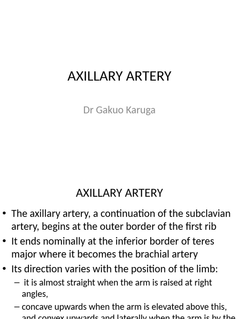 Anatomy of the Axillary Artery | PDF | Arm | Musculoskeletal System