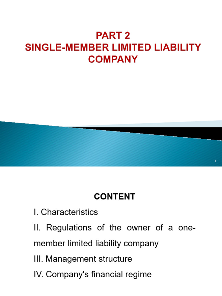 LLC Ownership and Management Guide | PDF | Limited Liability Company ...