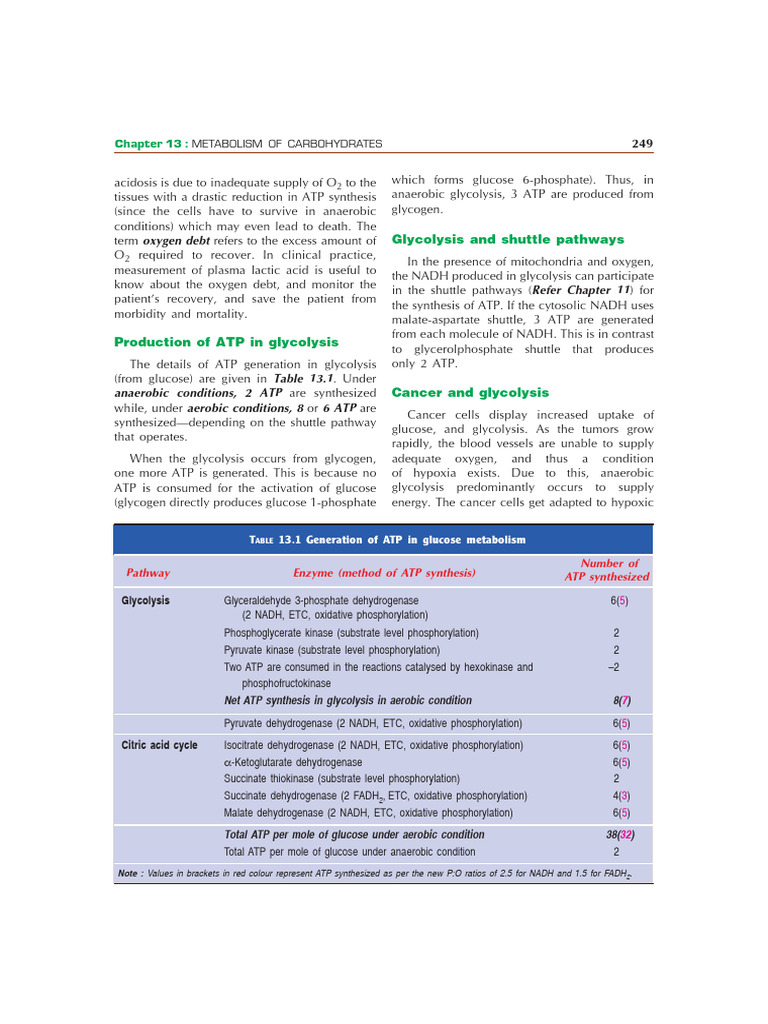 Carbohydrate Metabolism and ATP Production | PDF | Glycolysis ...